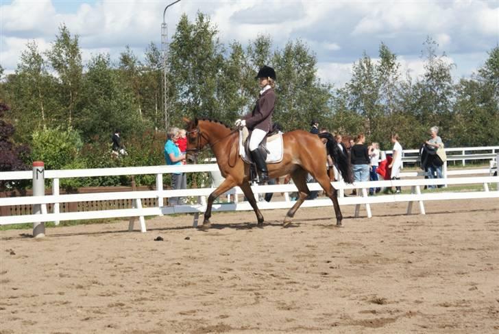 Appaloosa Andree Solgt - lindegaardensrideklub 09 Foto:Annekrogh. billede 14