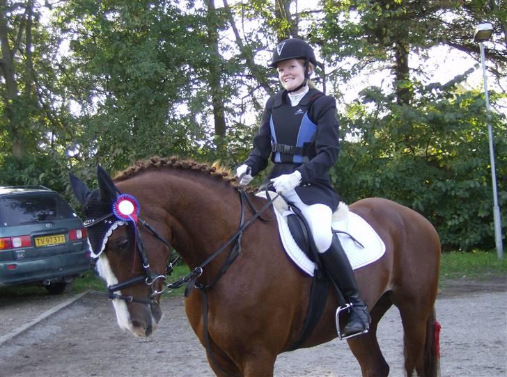 Dansk Varmblod Sophia *RIP* - Grineren ;) billede 18