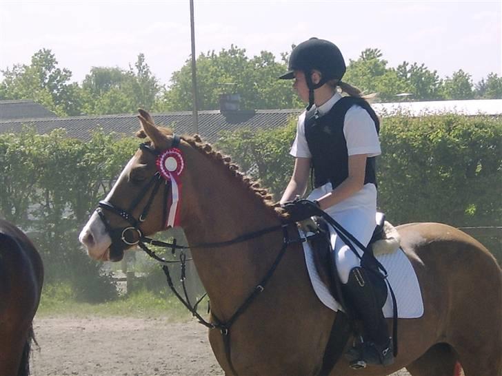 Anden særlig race Mosegaardens Taura Boy. - ..Ihé, jeg elsker dig skat <3. billede 12