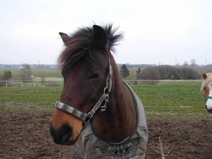 Anden særlig race Mr. smokie'  Mit Et & Alt - Årrh Baby.. billede 16