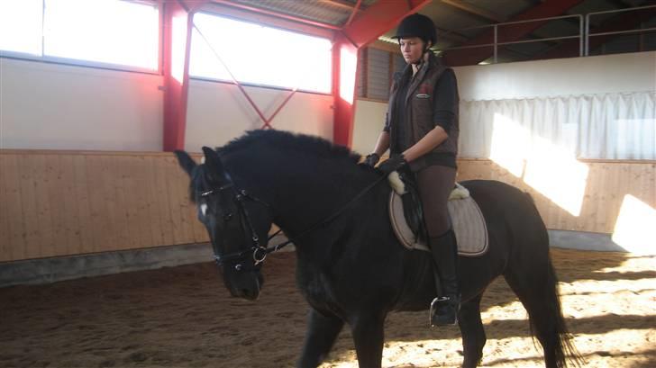 Oldenborg Cassandra solgt - min første ridetur efter at have købt Cassandra billede 4