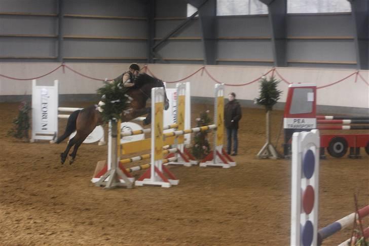 New Forest Kaval - Kaval landsstævne. HER 2007.   billede 8