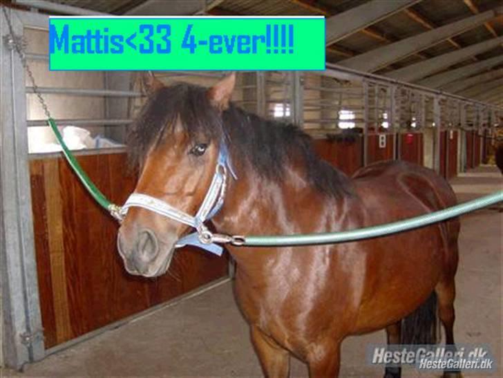 DSP Mattis - 14# Tak til Mie T fordi du gad lave den.. billede 14