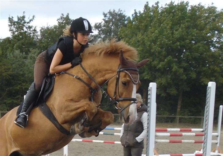 Anden særlig race Mosegaardens Taura Boy. - ..opvarmningen. Tror han syntes det var lidt for lavt? Han river hvertfald ikke ned :D. billede 14