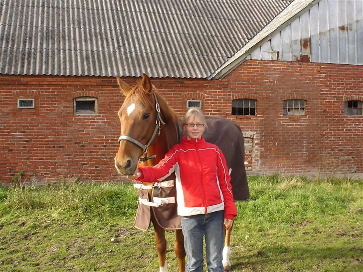 Anden særlig race Buddy  SOLGT - 10) Hygge på fold.. foto min mor billede 10