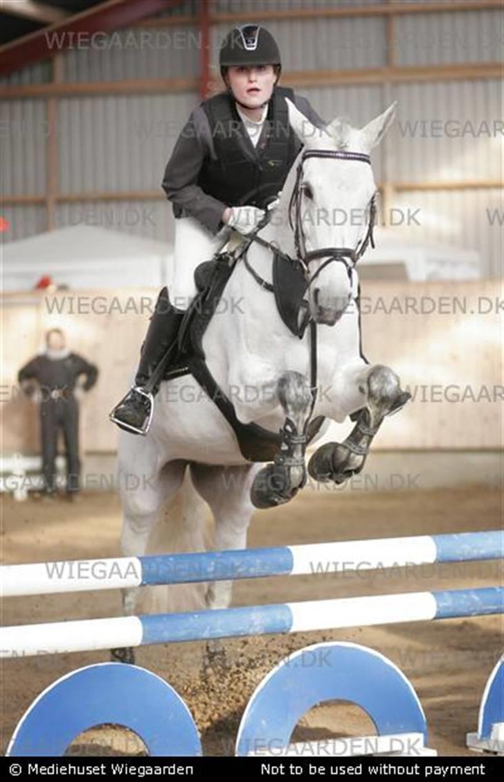 Anden særlig race  Saramia  billede 17