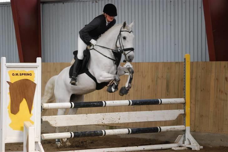 Anden særlig race  Saramia  billede 19