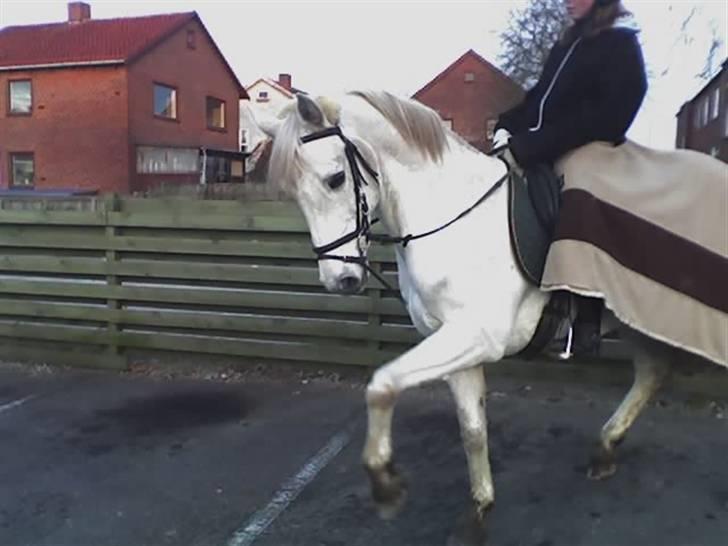 Sportsaraber (A) Agent Cooper  - solgt - Redet til aldi sammen med de andre<3 billede 1