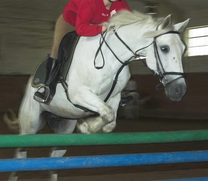 Sportsaraber (A) Agent Cooper  - solgt - Højde springning. billede 4