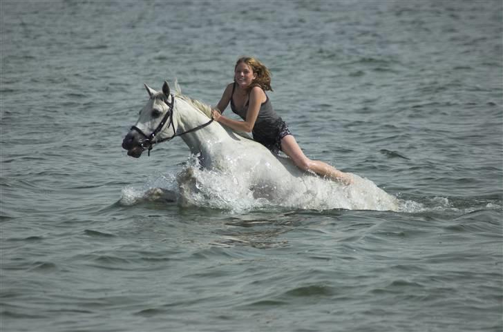 Sportsaraber (A) Agent Cooper  - solgt - På stranden <3  billede 6