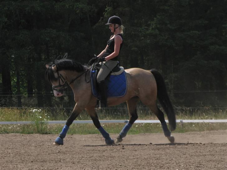 DSP "Golden Mulan"  - Mulan og Nadia træning 1. juli 2009 :) billede 15