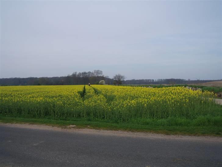 Traver Delvin Key - At ride i raps marken .. UPS .  billede 19