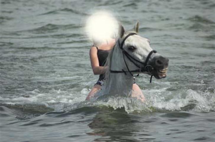 Sportsaraber (A) Agent Cooper  - solgt - På stranden<3 billede 7