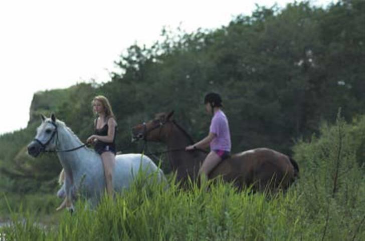 Sportsaraber (A) Agent Cooper  - solgt - Tascha & berdo<3 + Andrea & Cooper. billede 8