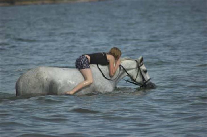Sportsaraber (A) Agent Cooper  - solgt - jeg elsker dig min hest<3 billede 9