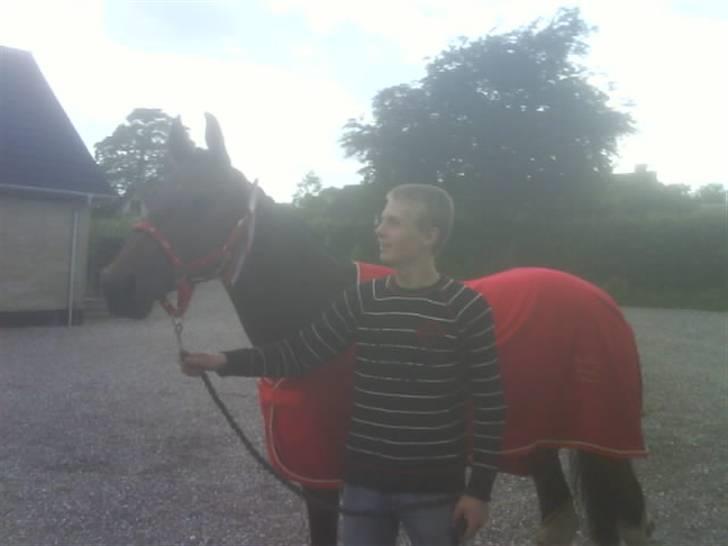 Dansk Varmblod Gin - Min glade og stolte bror med vores dejlige Gin :) <3  billede 17