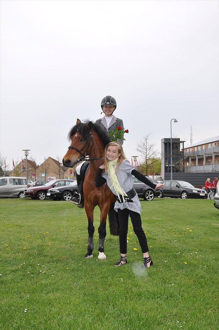 Anden særlig race Petit  - Konfirmation  billede 3