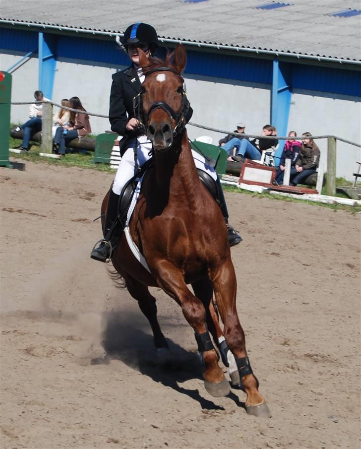 Oldenborg Alextho [Mors] - Basse og jeg i Nibe 20/4-08, her i ld som vi vinder:) Foto: Stine billede 1