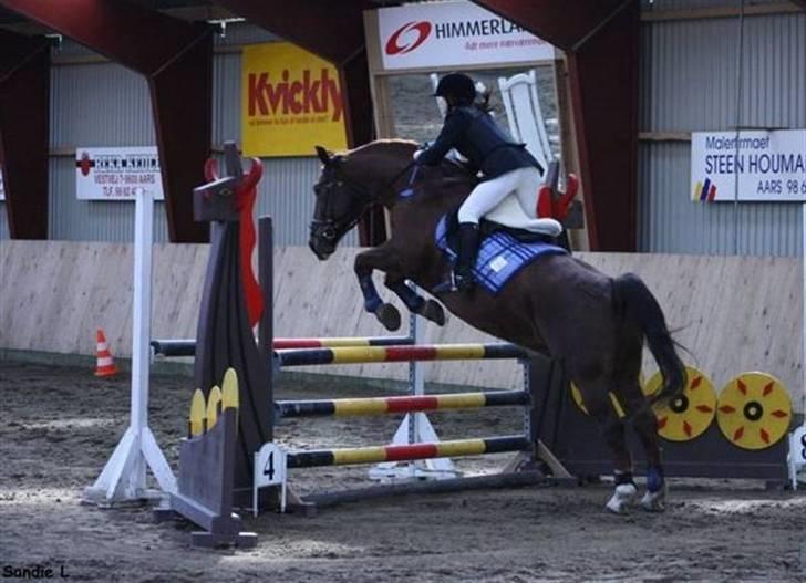 Oldenborg Alextho [Mors] - LC 22/3-09, foto: Sandie billede 2