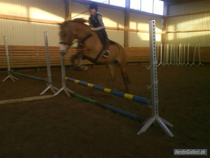 Anden særlig race * Creamy - Gammel part. - Jeg savner dig ..  billede 9