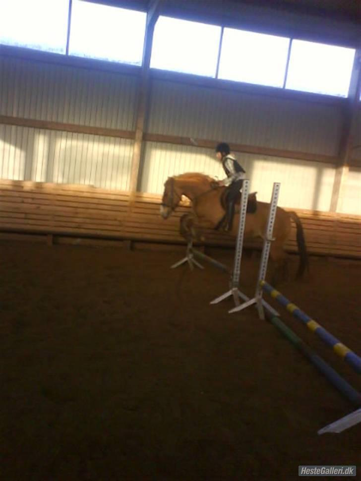 Anden særlig race * Creamy - Gammel part. - Hopla & vi springer :D billede 10