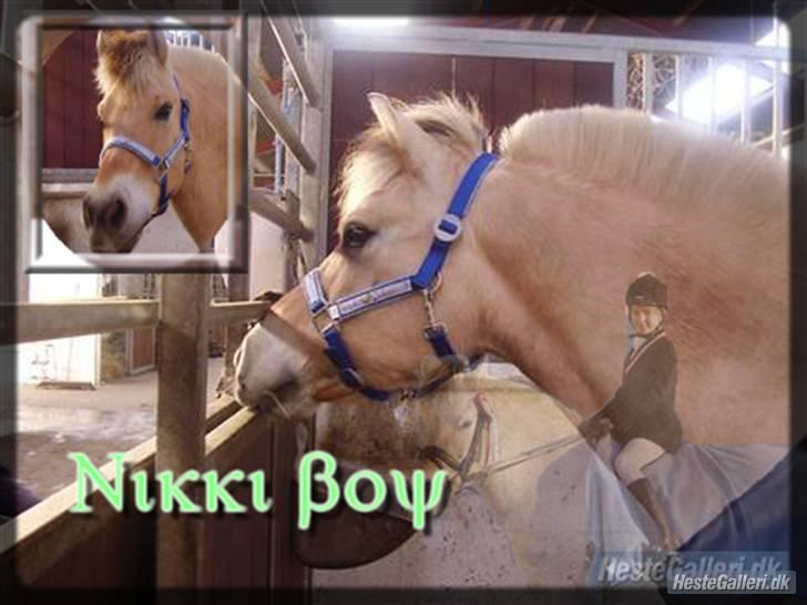 Fjordhest Nikki boy !<3 #Halvpart# - Miin nikki billede 1