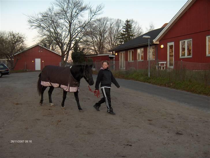Anden særlig race Stacia - SOLGT - december 2007 billede 5