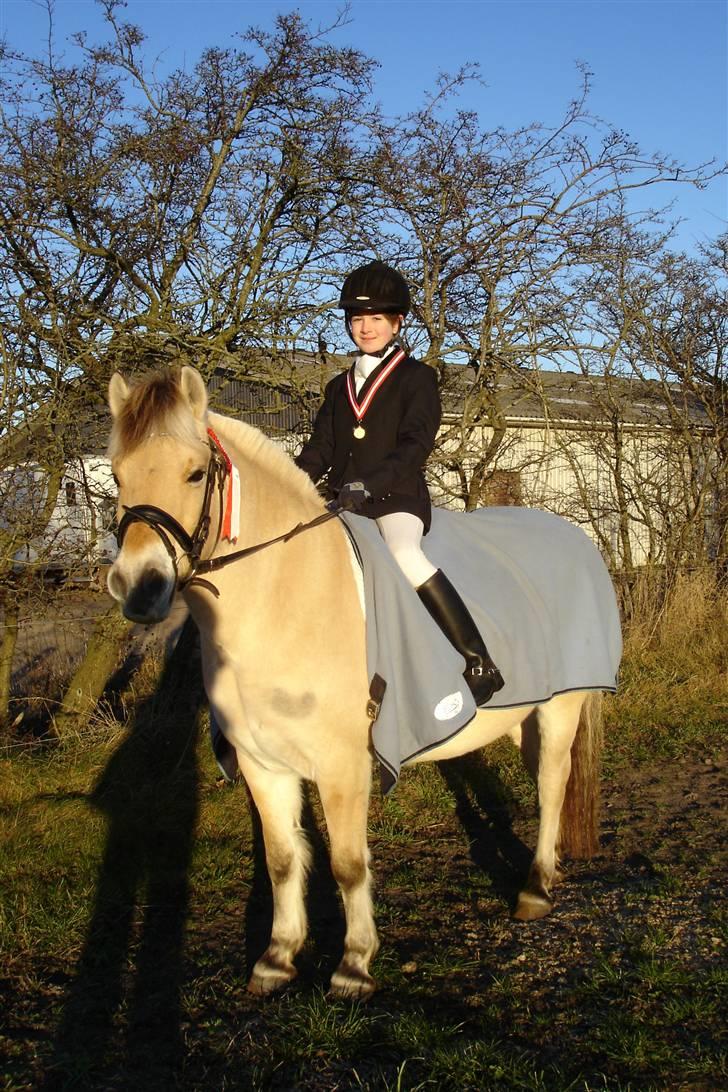 Fjordhest Nikki boy !<3 #Halvpart# - Elsket Nikki billede 4