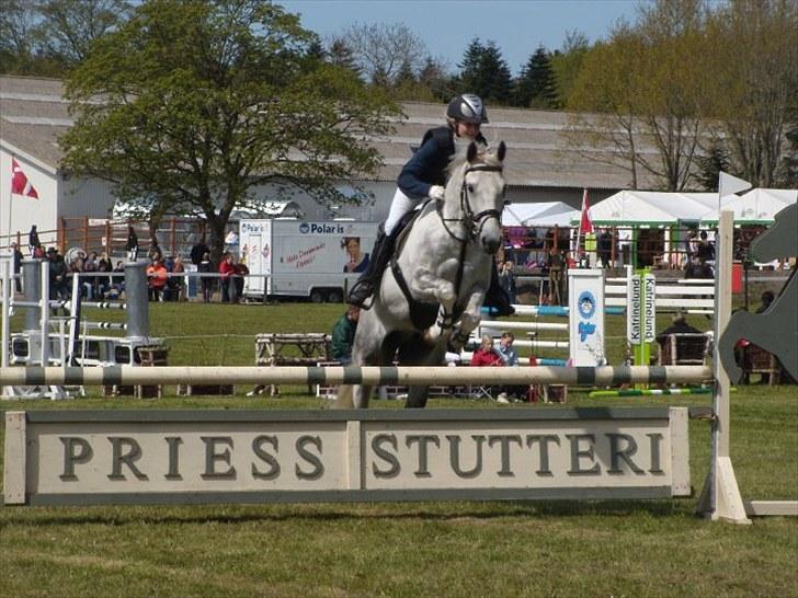 Anden særlig race Tonka  (solgt) - Tonki mors <3 billede 13