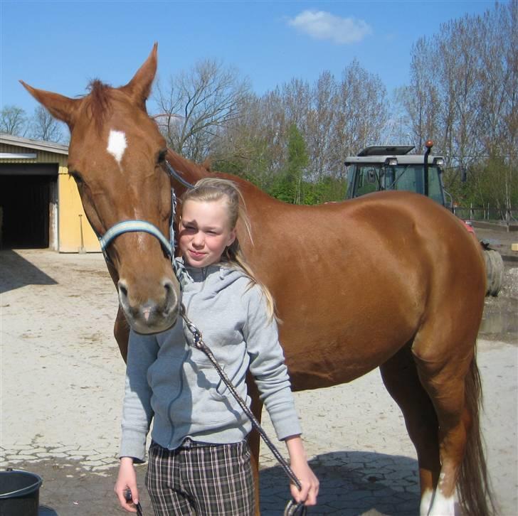 Dansk Varmblod Ounbøl Lehman R.I.P. - Milo og hans passer Emma :o) billede 9