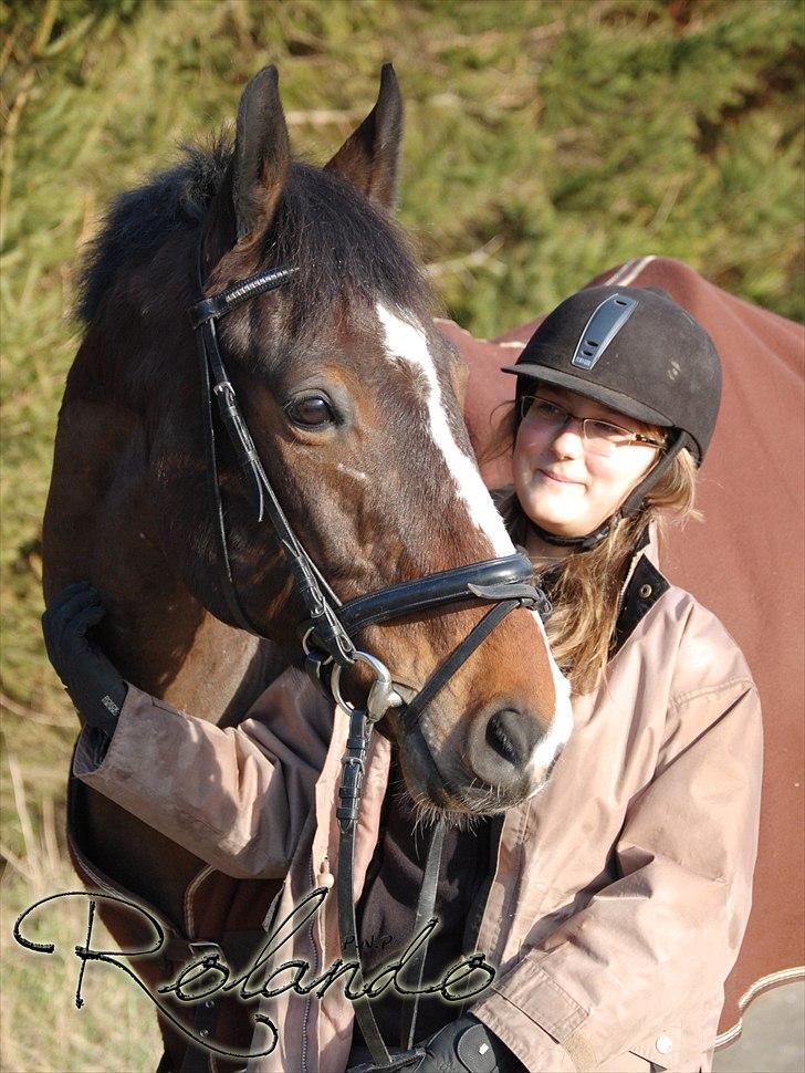 Dansk Varmblod Spanagers Rolando - SOLGT [Himmelhest] - Er jeg ikke bare en dejlig dreng???    (Fotograf: Susanne Grandahl) billede 15