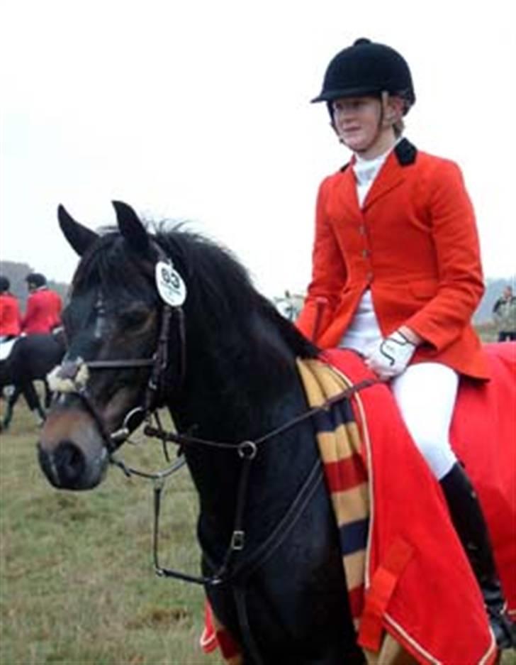 New Forest Eskehøjgaards Mørk Natvio billede 1