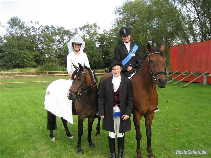 New Forest Birkilds Fortuna - Til langhøj´cup 2007 .R.I.P skipper. billede 5