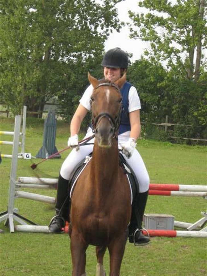 Fuldblod (XX) Ladyline xx R I P - Klubmester i spring på min super hest billede 19