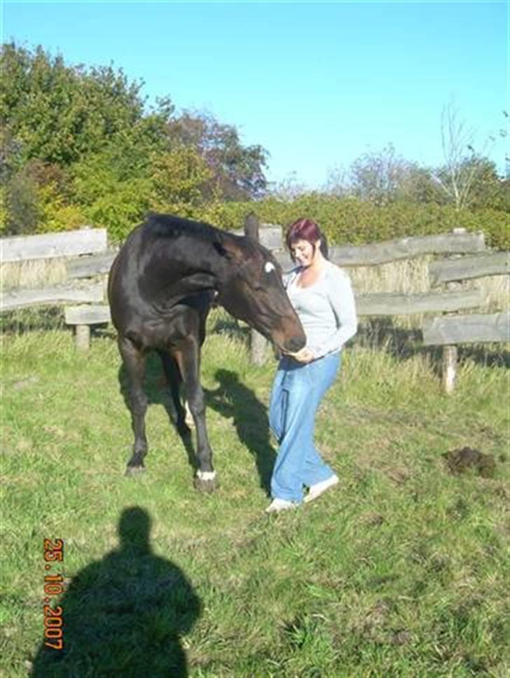Anden særlig race Freja *Rider hende ik mer - Og så lidt guffer når vi er færdige :) Hun er bar så dejlig<3 billede 8