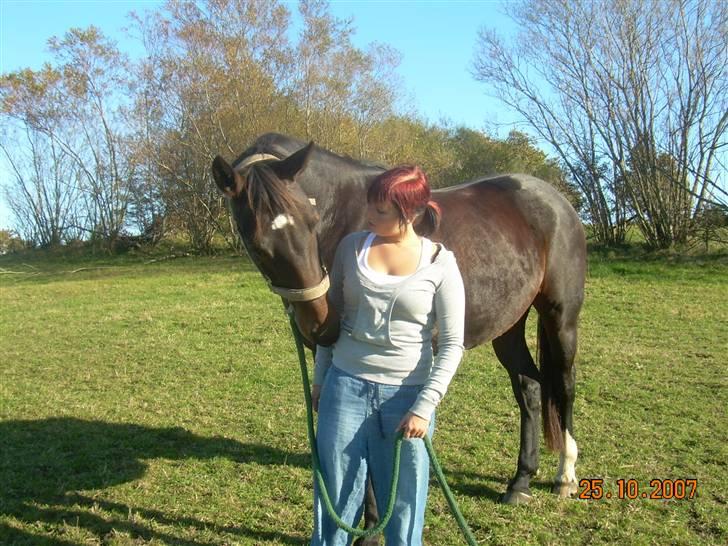 Anden særlig race Freja *Rider hende ik mer - Skal jeg lige nusse dig lidt? - Hun er så skøn<3 billede 9