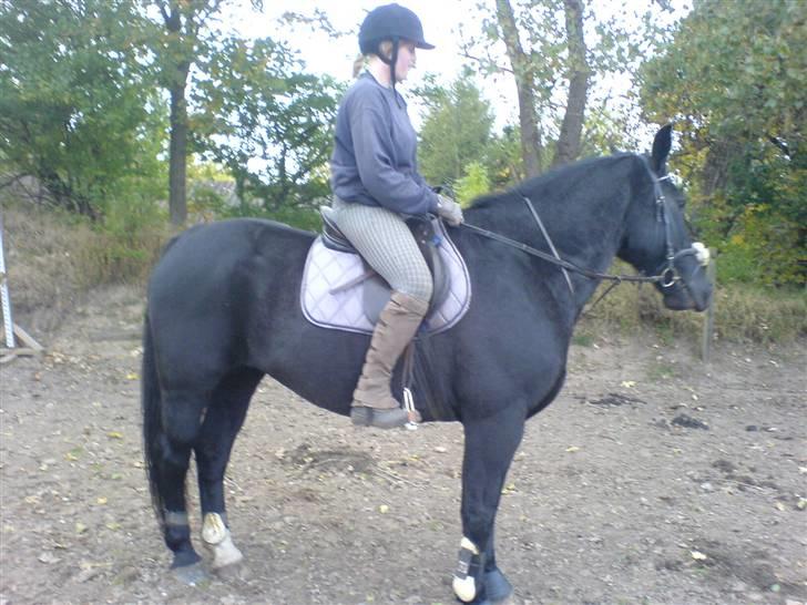 Oldenborg Guri (død) :( billede 15