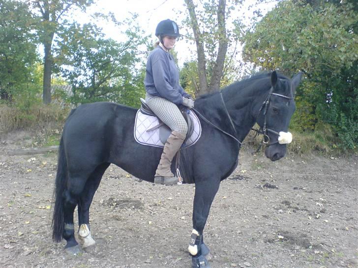 Oldenborg Guri (død) :( billede 16