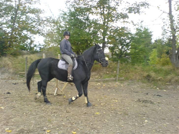 Oldenborg Guri (død) :( billede 17