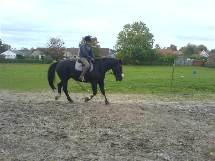 Oldenborg Guri (død) :( billede 18