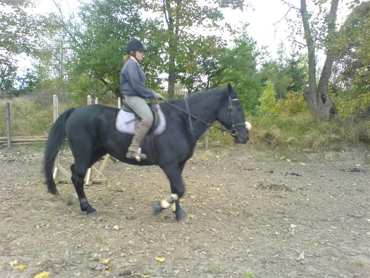 Oldenborg Guri (død) :( billede 19