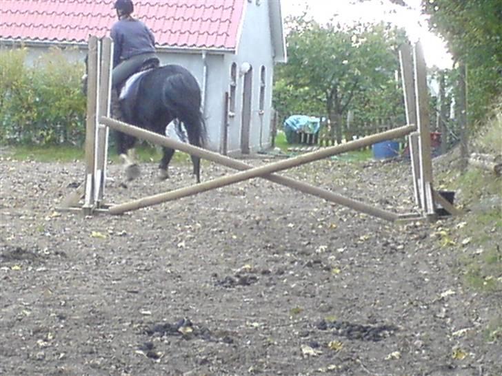 Oldenborg Guri (død) :( billede 20