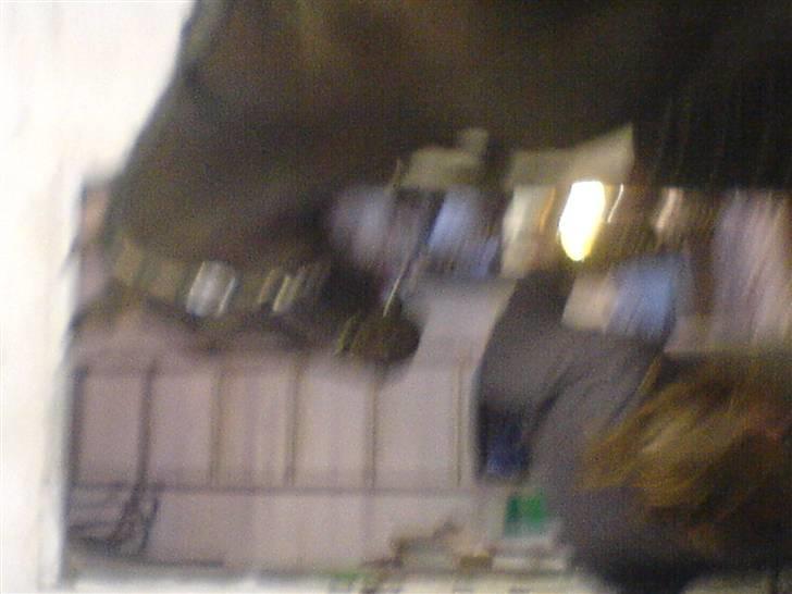 Anden særlig race Fari billede 12