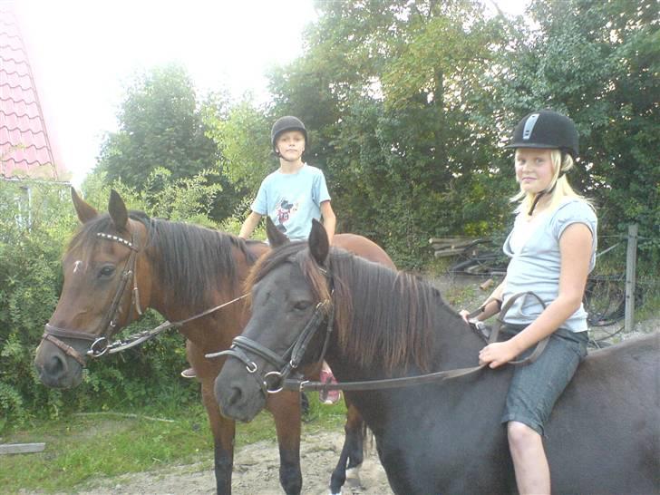 Traver Kalinka billede 10