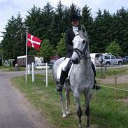 Anden særlig race Cassiopeja