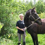 Oldenborg Puck Star - SOLGT -