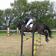 Oldenborg Puck Star - SOLGT -