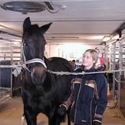 Anden særlig race Bella Donna - solgt