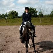 Anden særlig race Lafayette