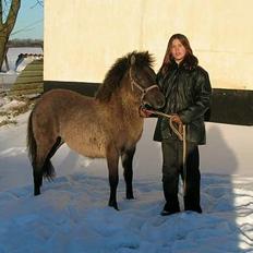 Anden særlig race *Stella*